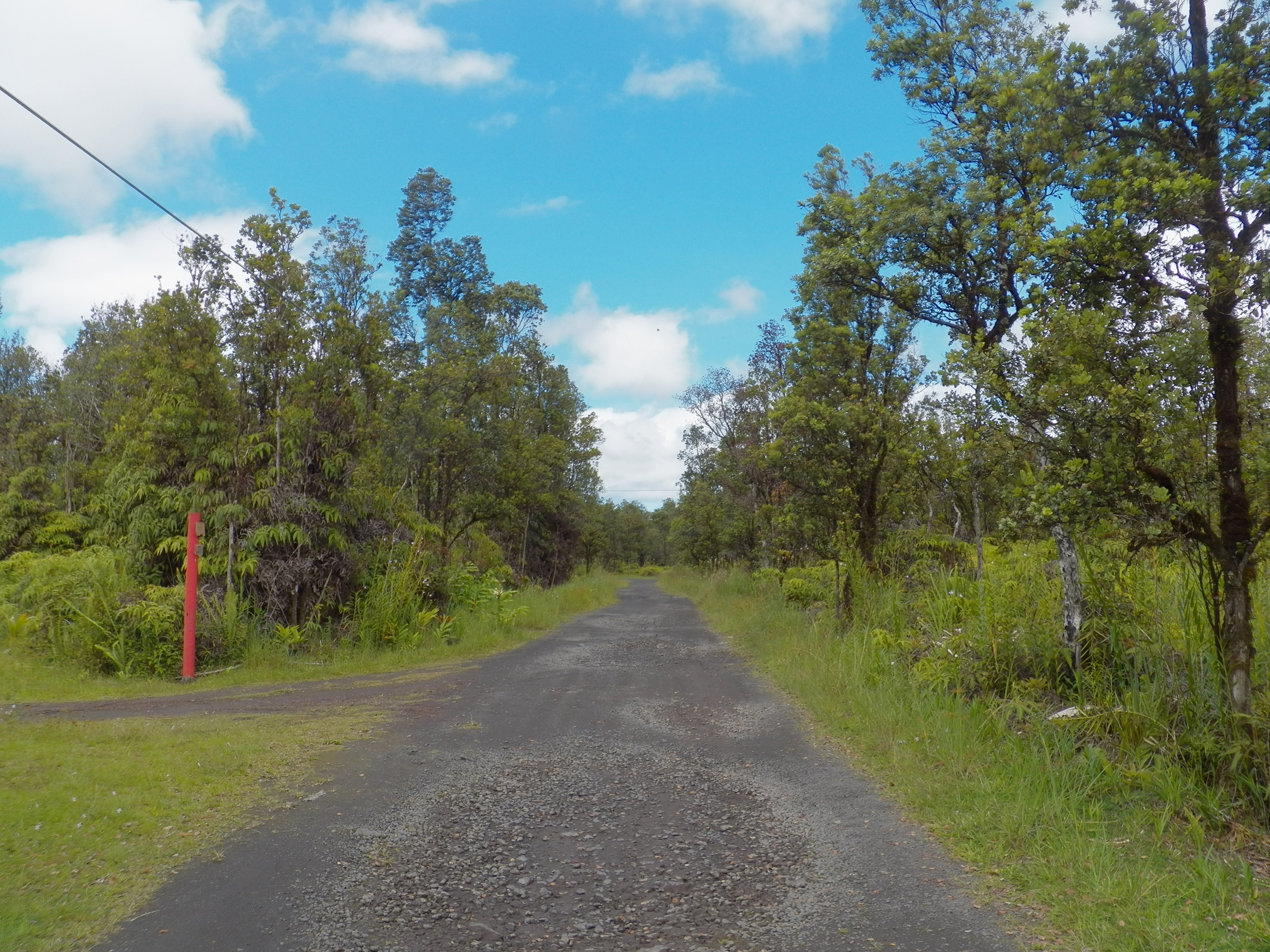 Naia St Property Photo 7