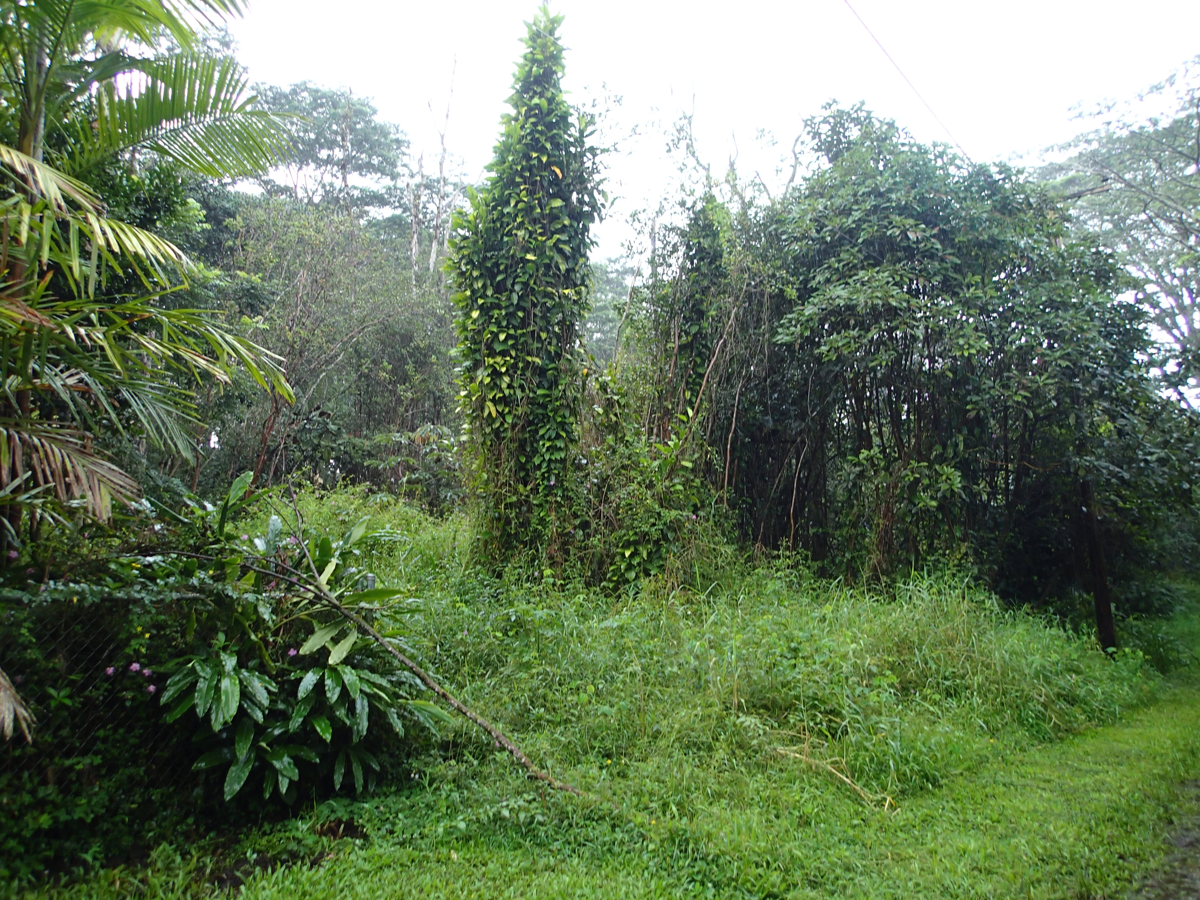 Alii Rd Property Photo 2