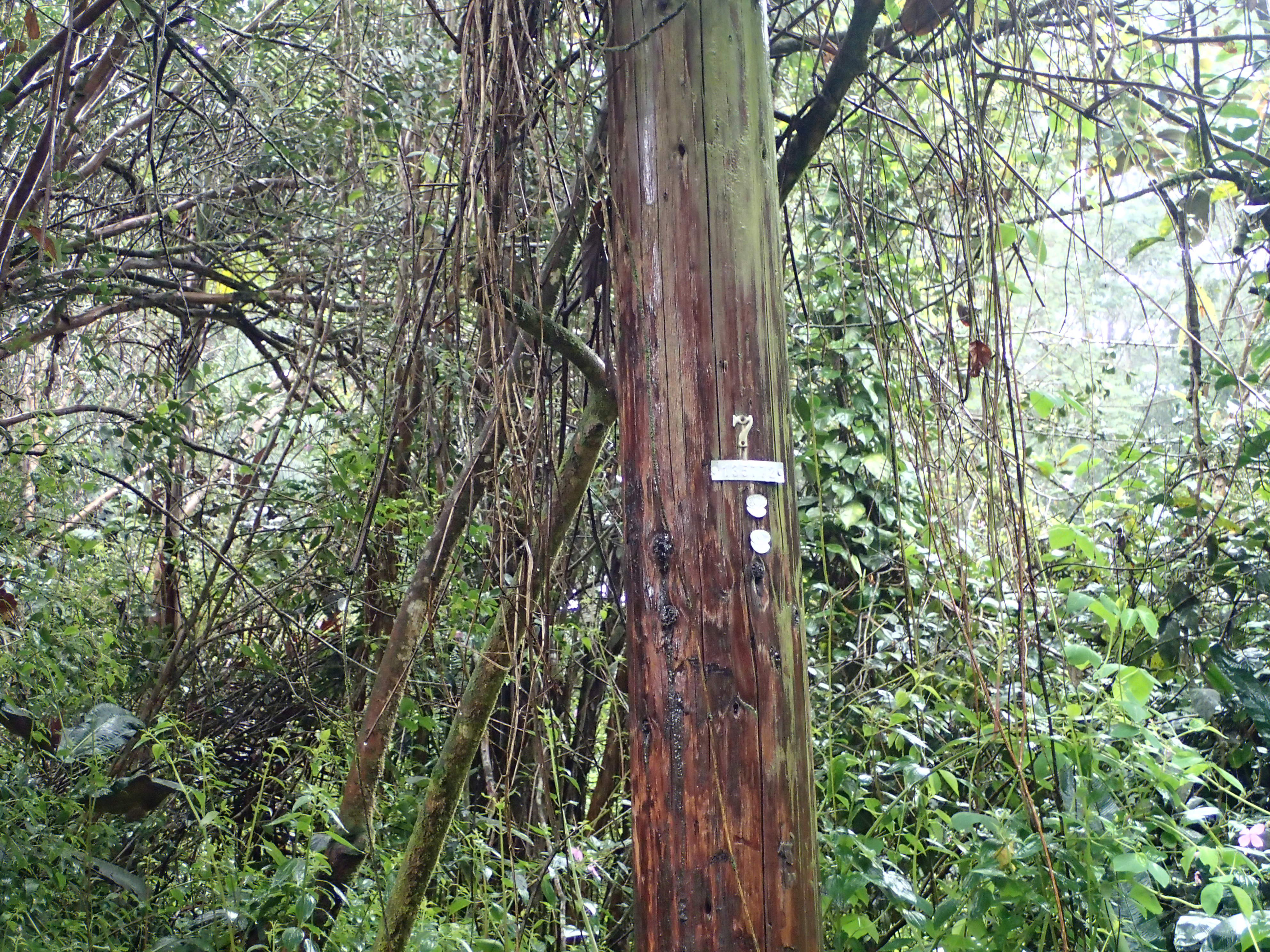 Alii Rd Property Photo 5
