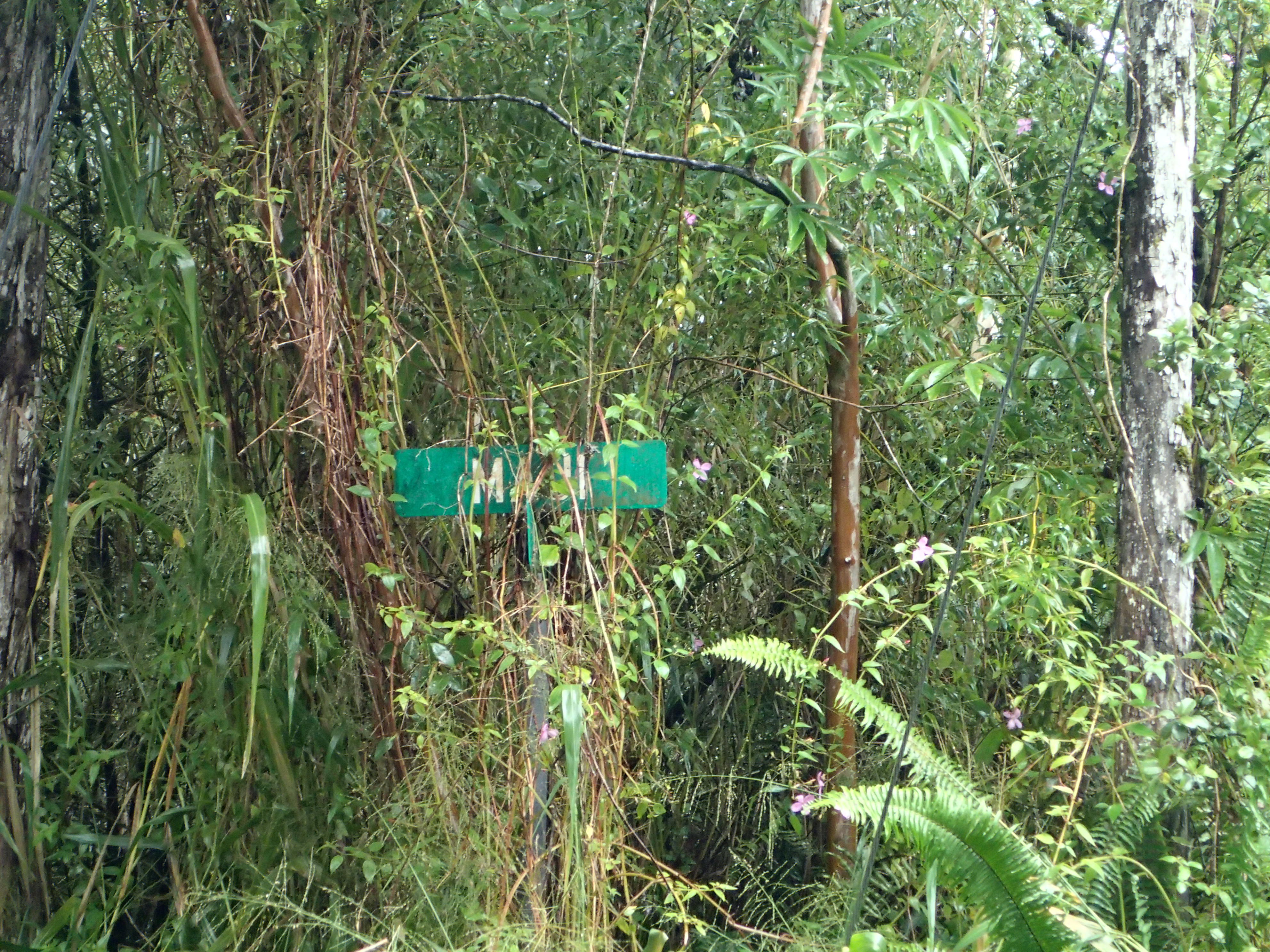 Alii Rd Property Photo 6