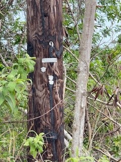 Mark Twain St Property Photo 3