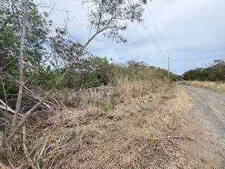 Mark Twain St Property Photo 5