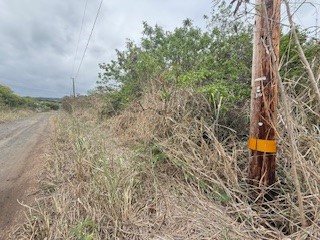 Mark Twain St Property Photo 6