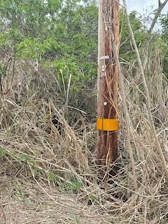 Mark Twain St Property Photo 7