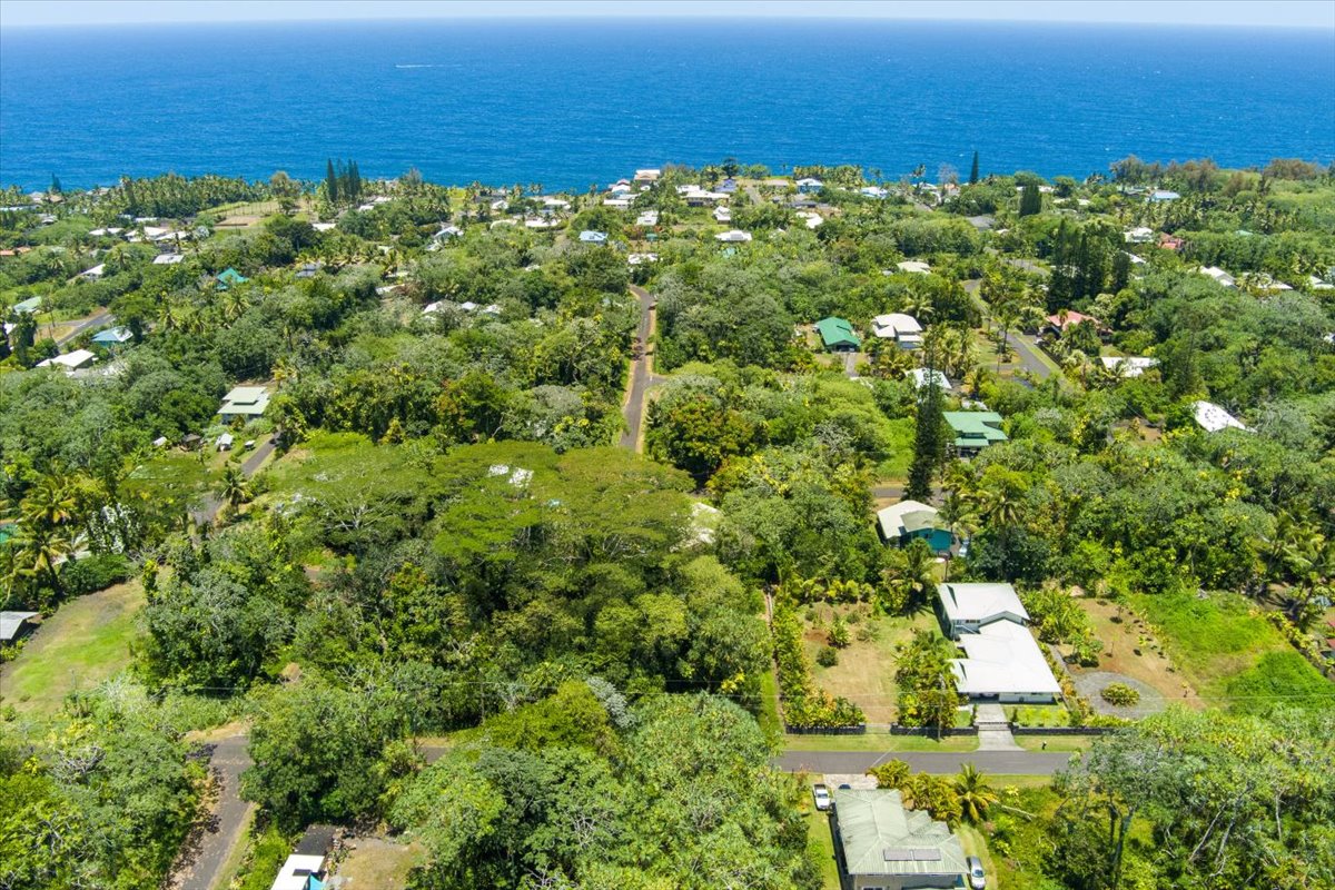 S Opakapaka St Property Photo 6