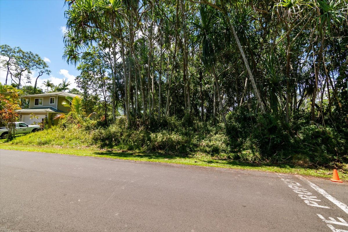 S Opakapaka St Property Photo 8