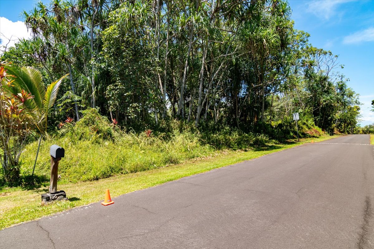 S Opakapaka St Property Photo 10