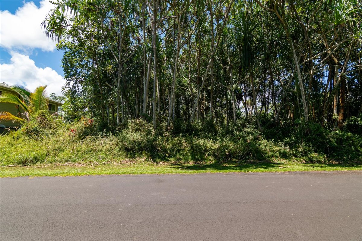 S Opakapaka St Property Photo 11