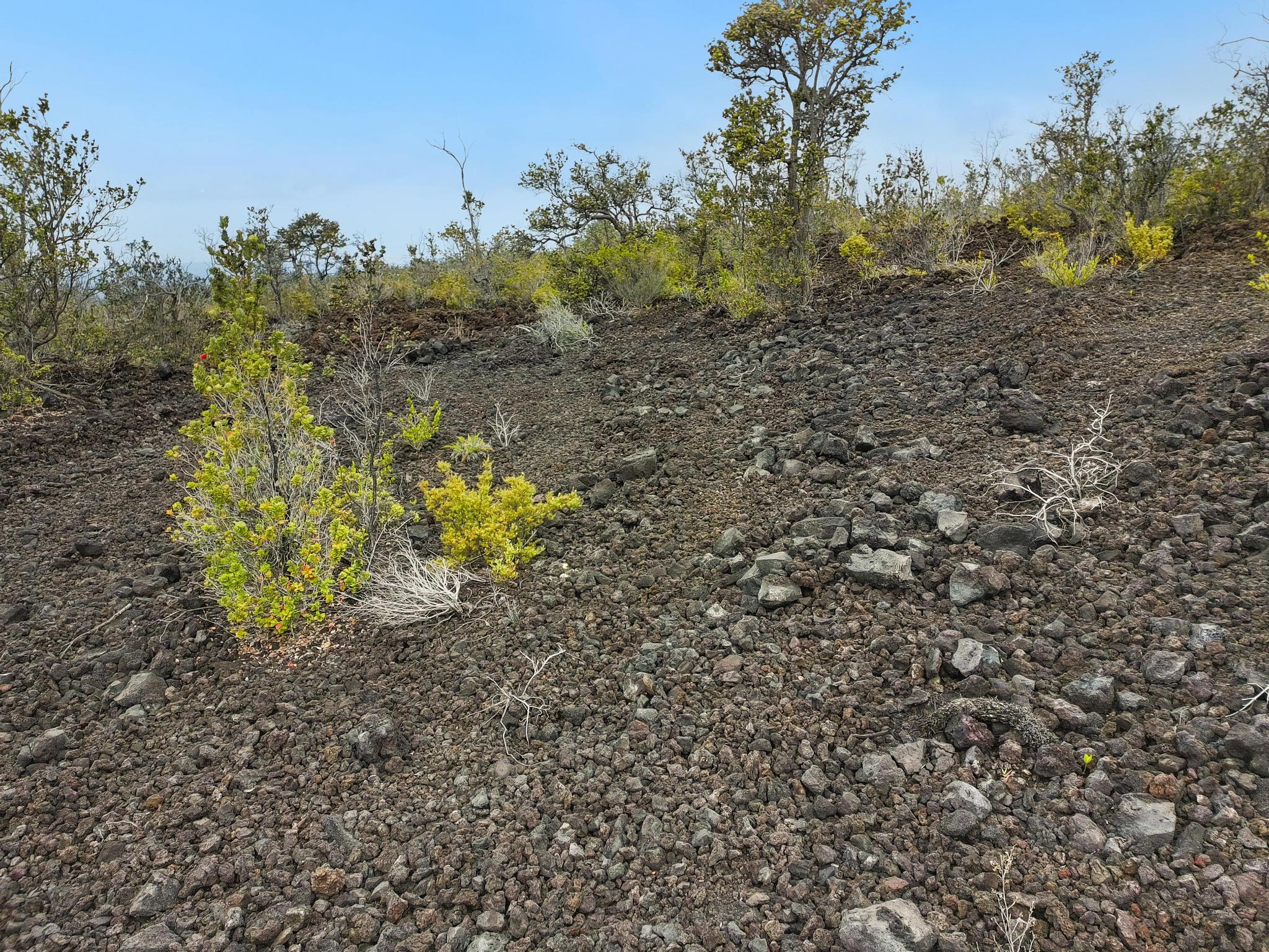 Trade Wind Blvd Lot 28 Property Photo 4