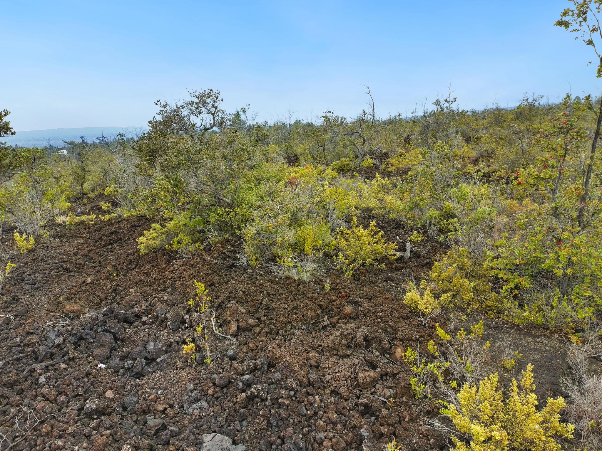 Hukilau Dr Property Photo 3