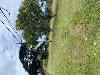 Kahoa Pl Property Photo 4