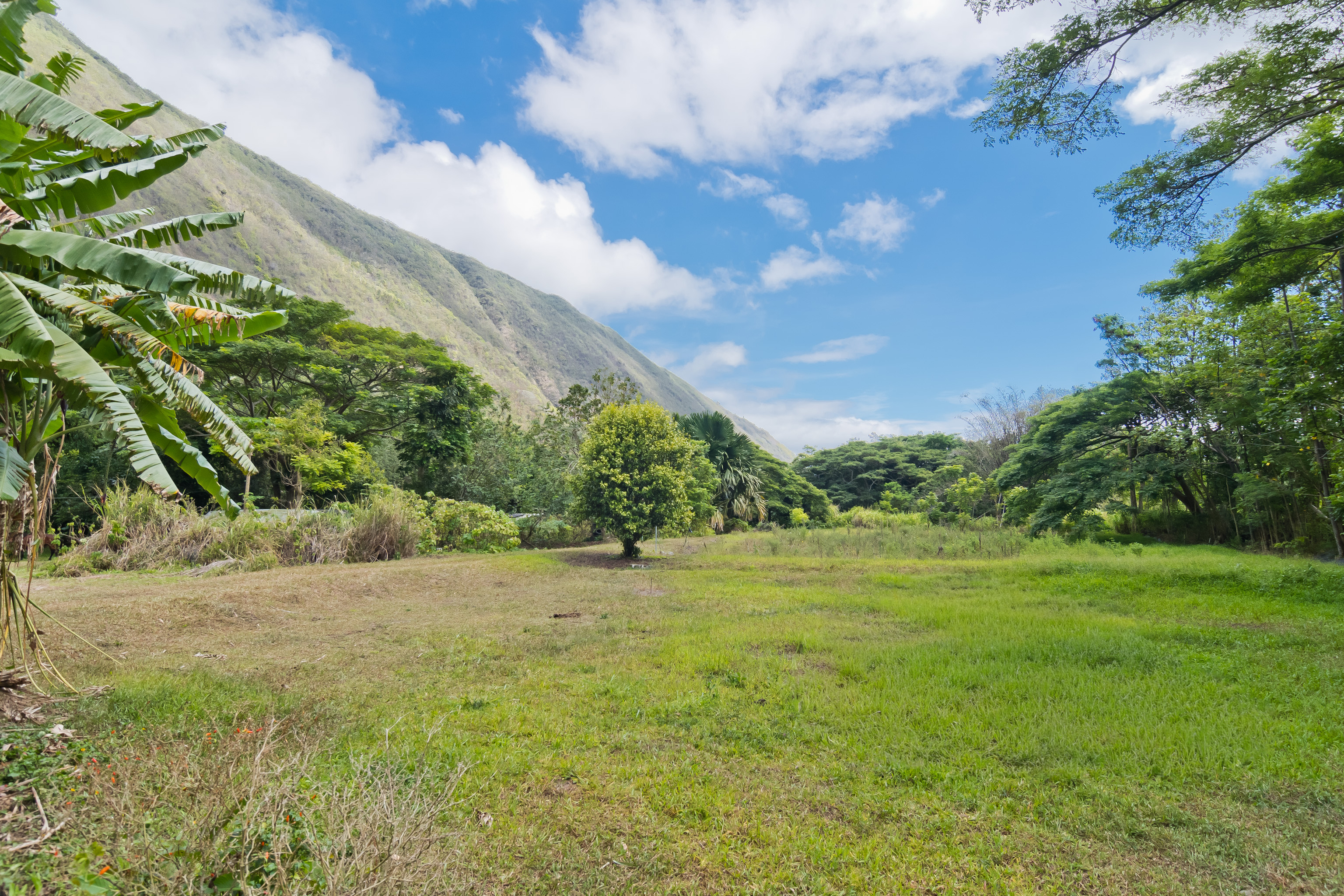 20 Waipio Valley Rd Property Photo 2