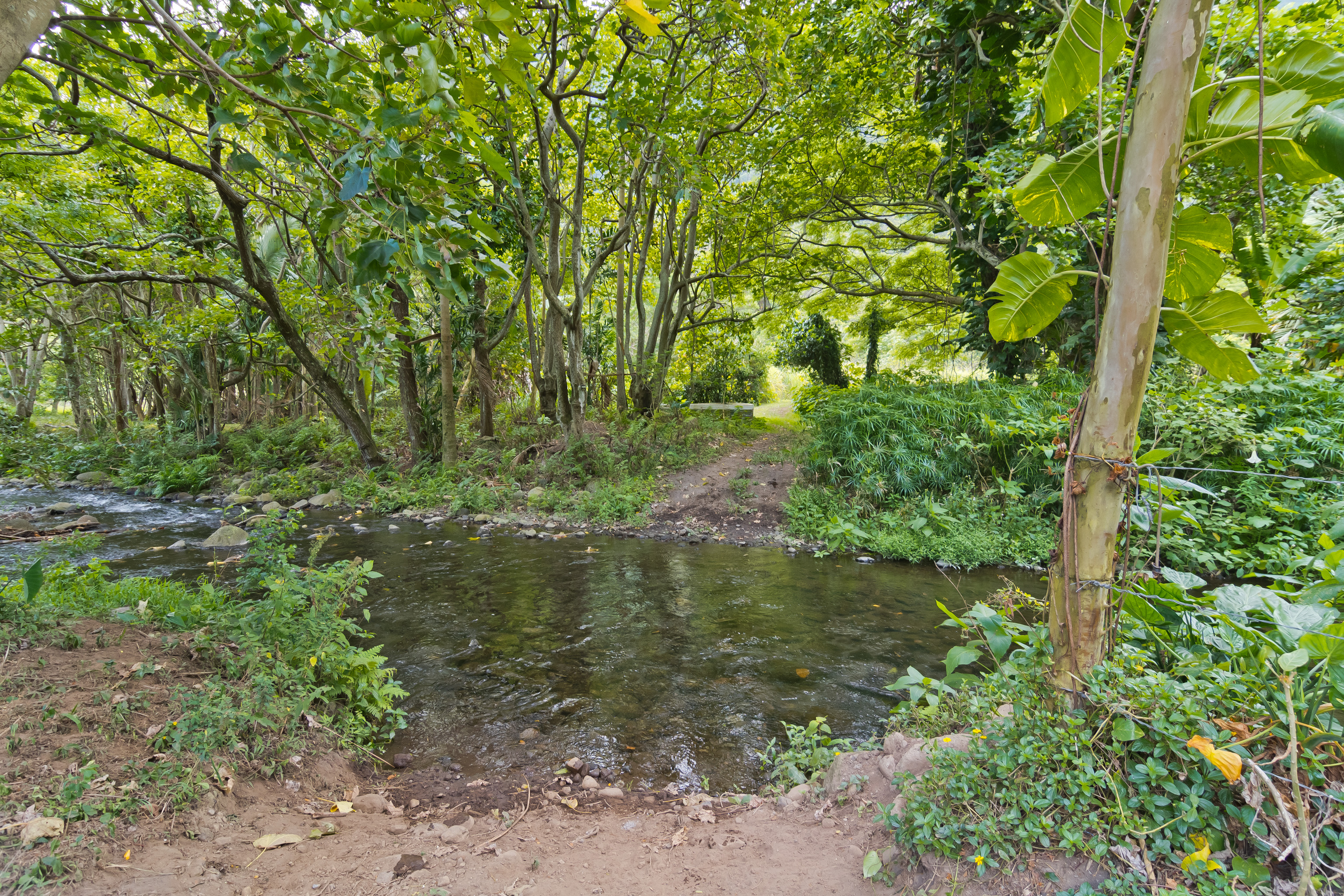 20 Waipio Valley Rd Property Photo 4