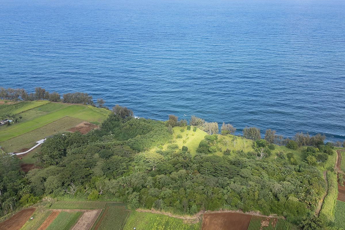 28-110 Kulaimano Homestead Road Property Photo 1