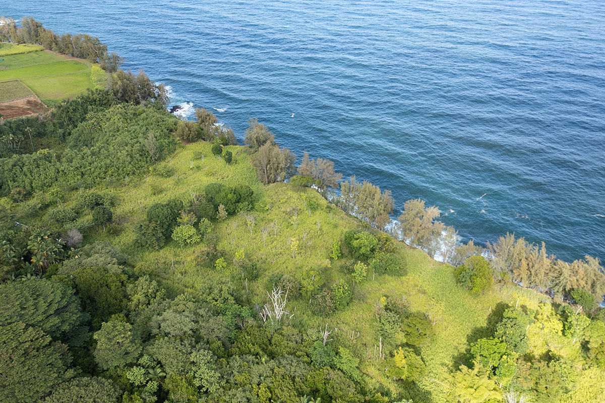 28-110 Kulaimano Homestead Road Property Photo 8