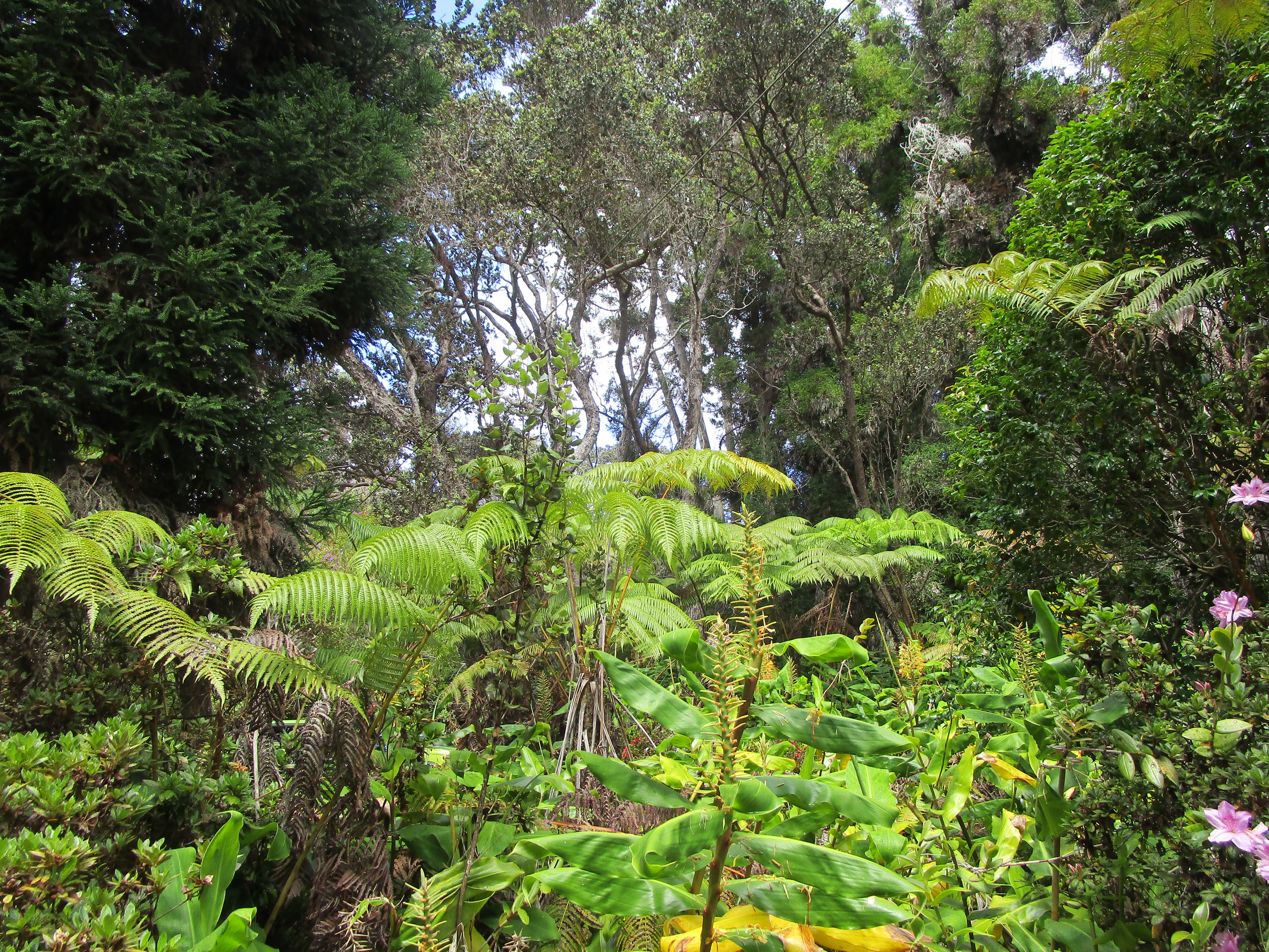 1 Alanui Iiwi Property Photo 9