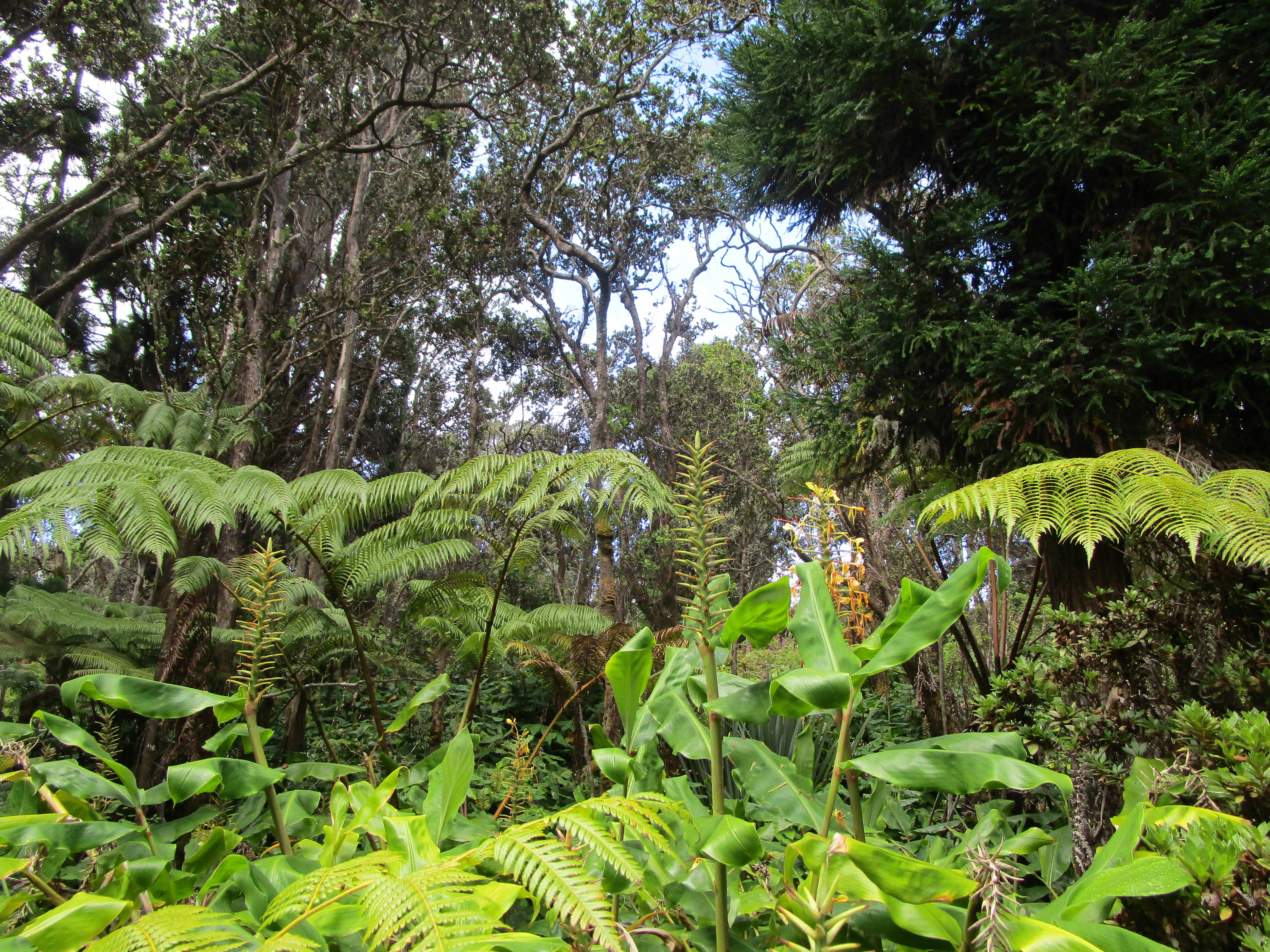 1 Alanui Iiwi Property Photo 10