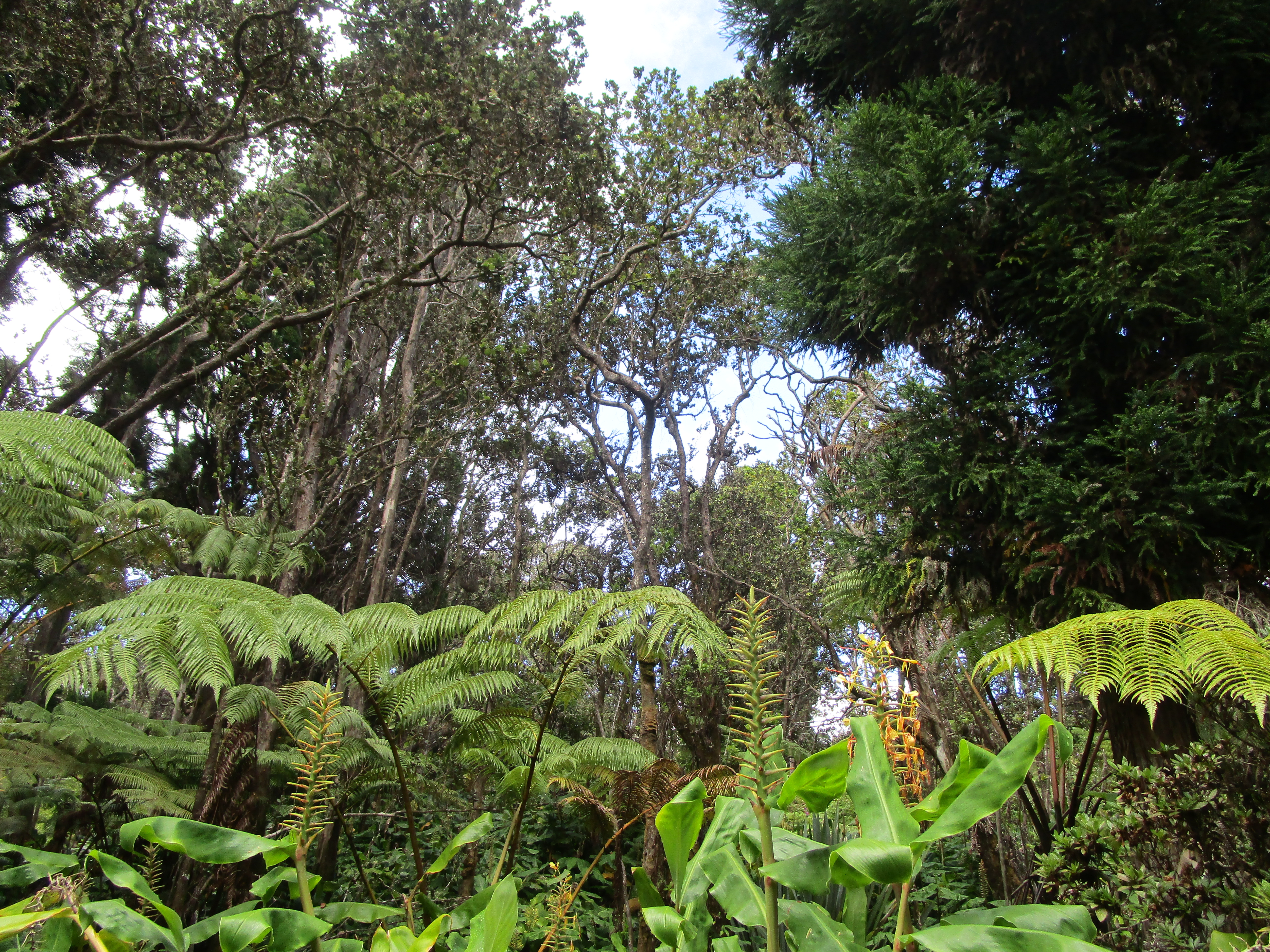 1 Alanui Iiwi Property Photo 11