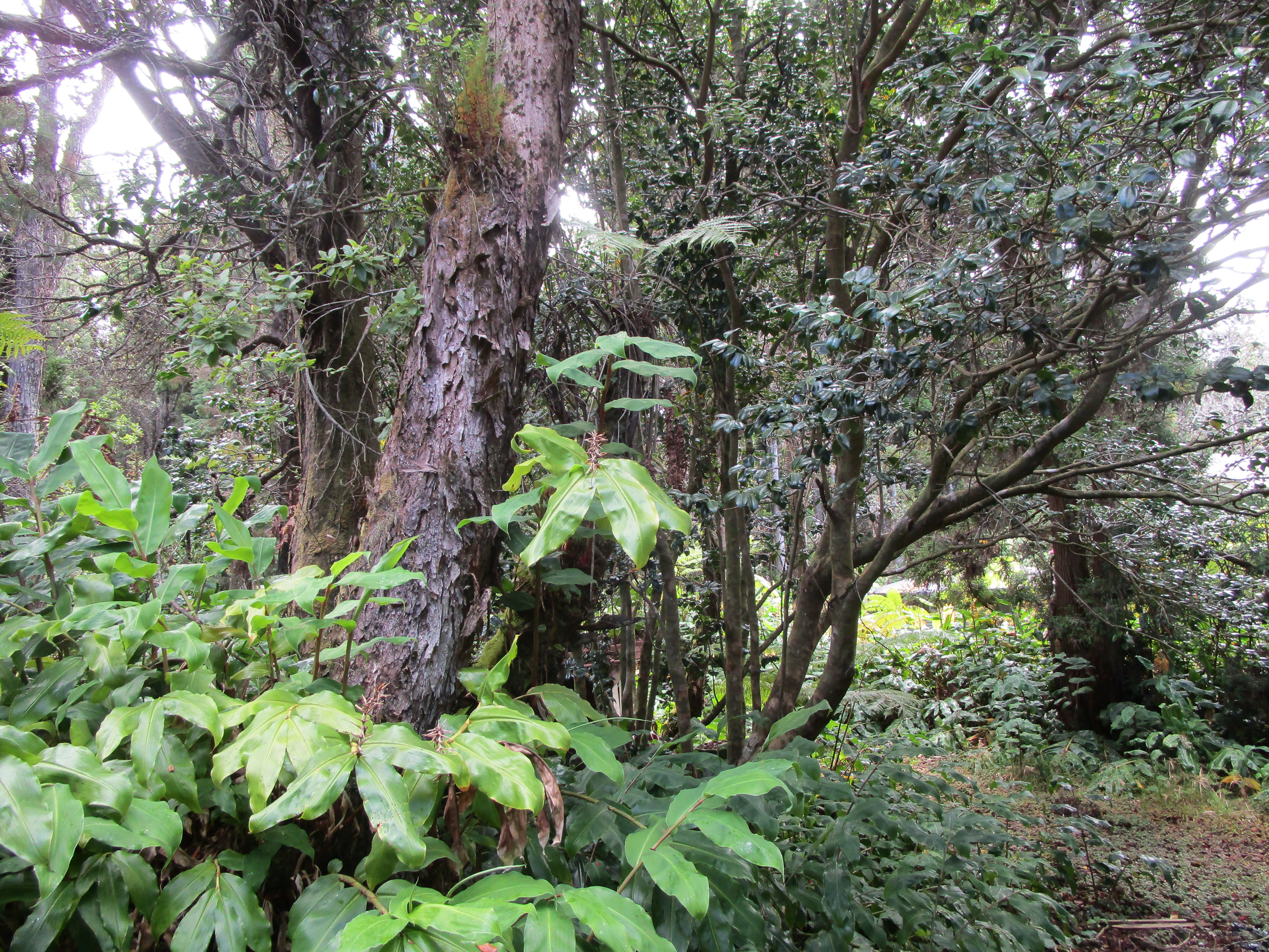 1 Alanui Iiwi Property Photo 12