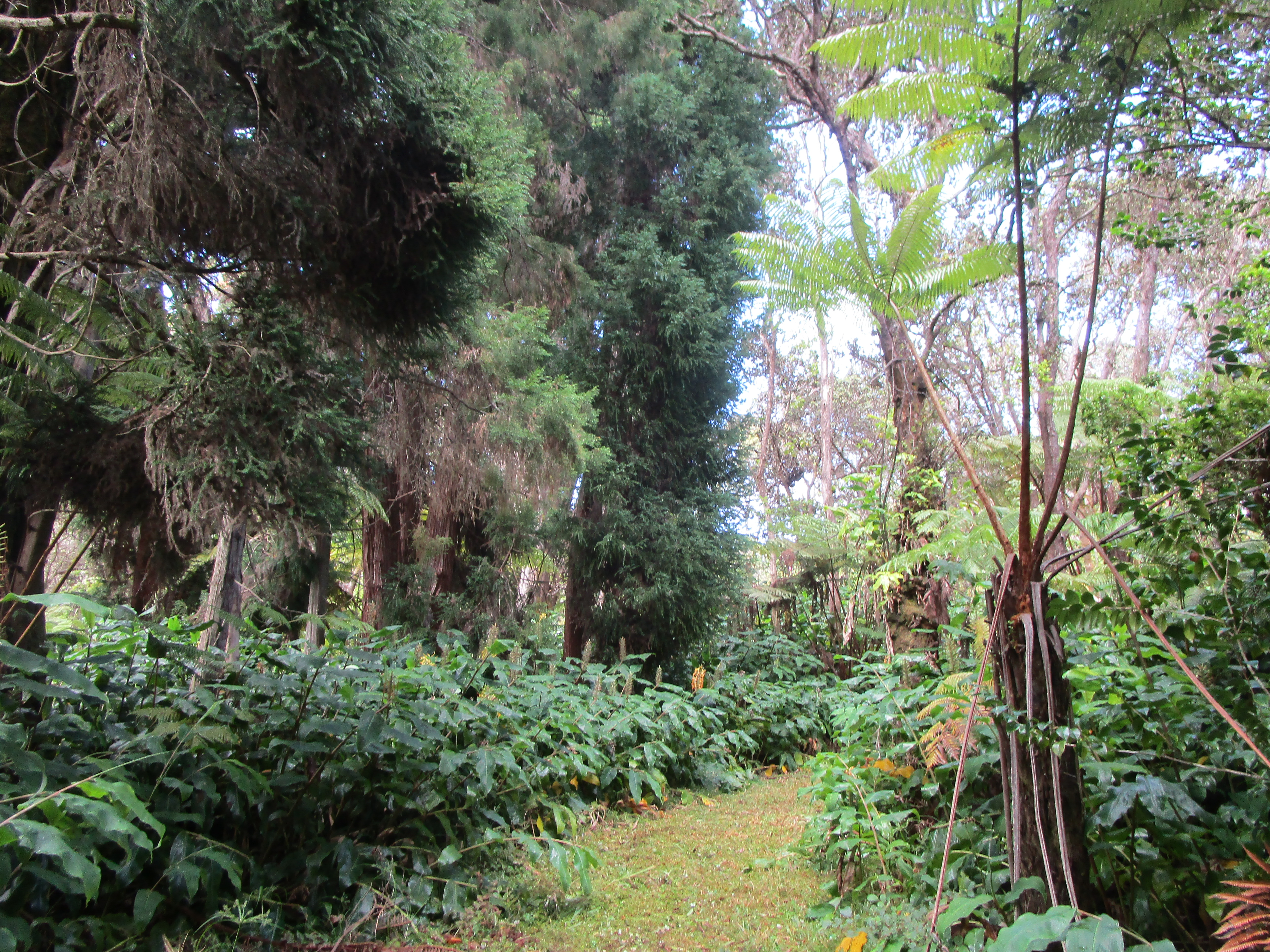1 Alanui Iiwi Property Photo 14