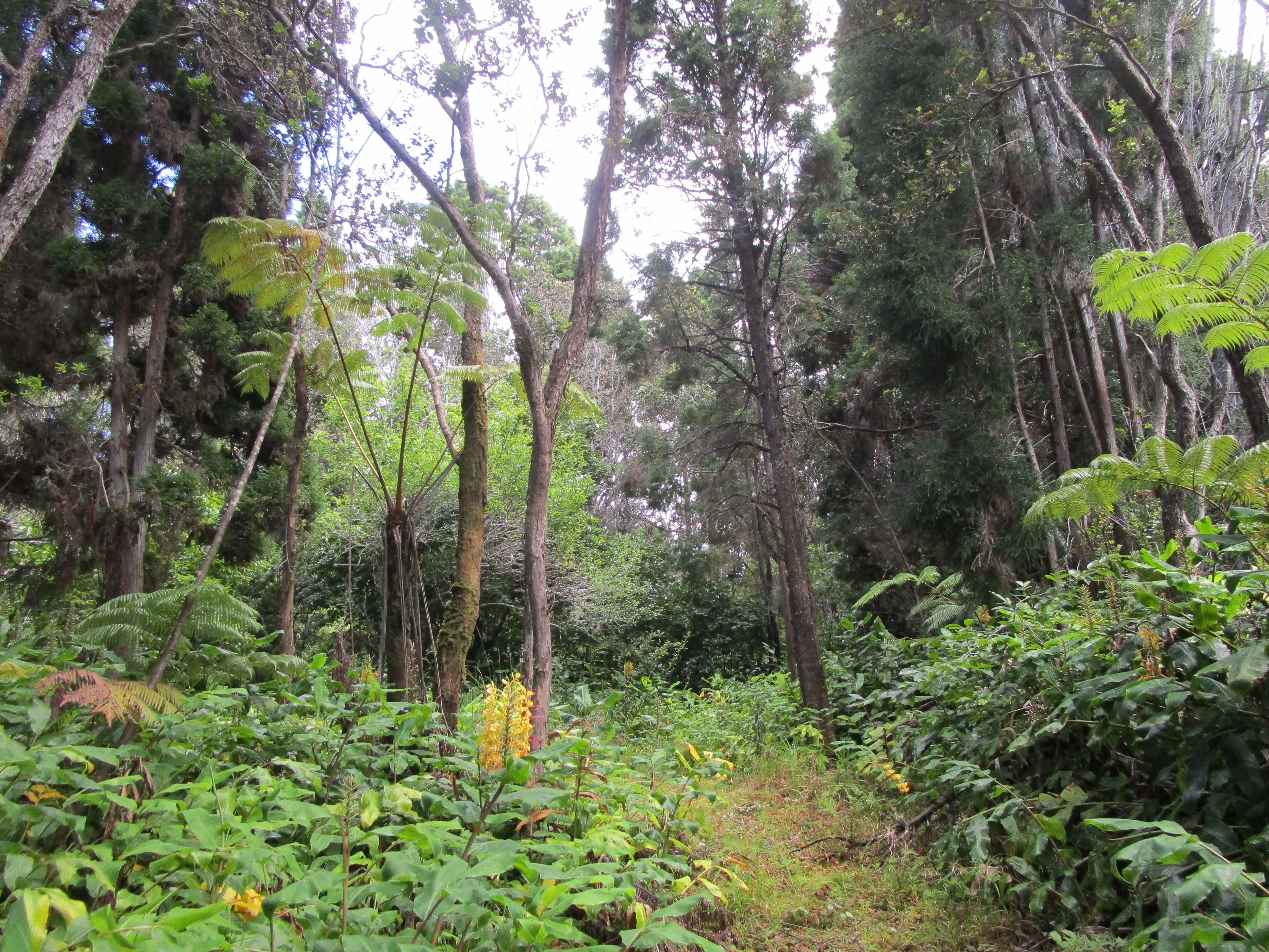 1 Alanui Iiwi Property Photo 15