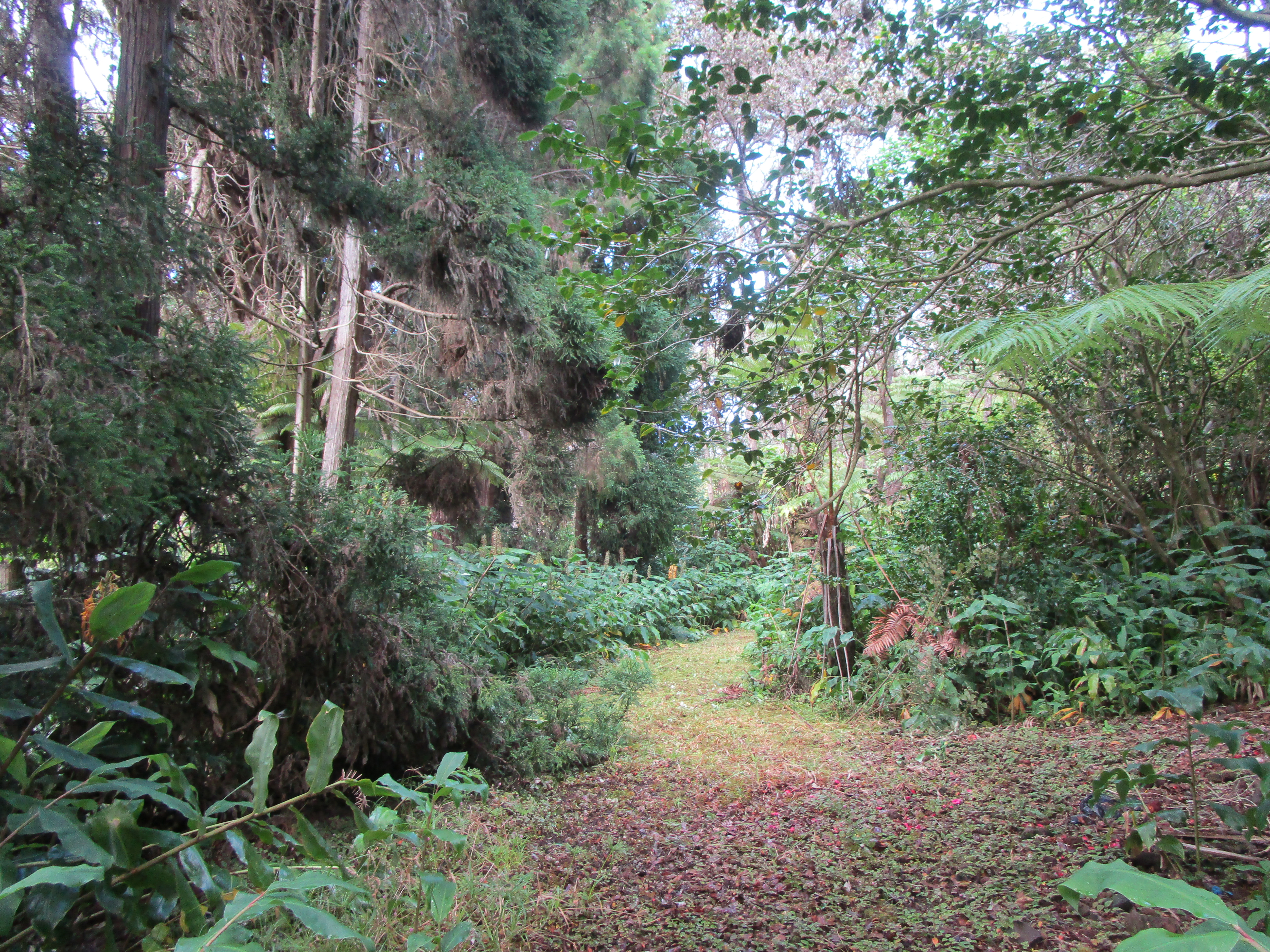 1 Alanui Iiwi Property Photo 17