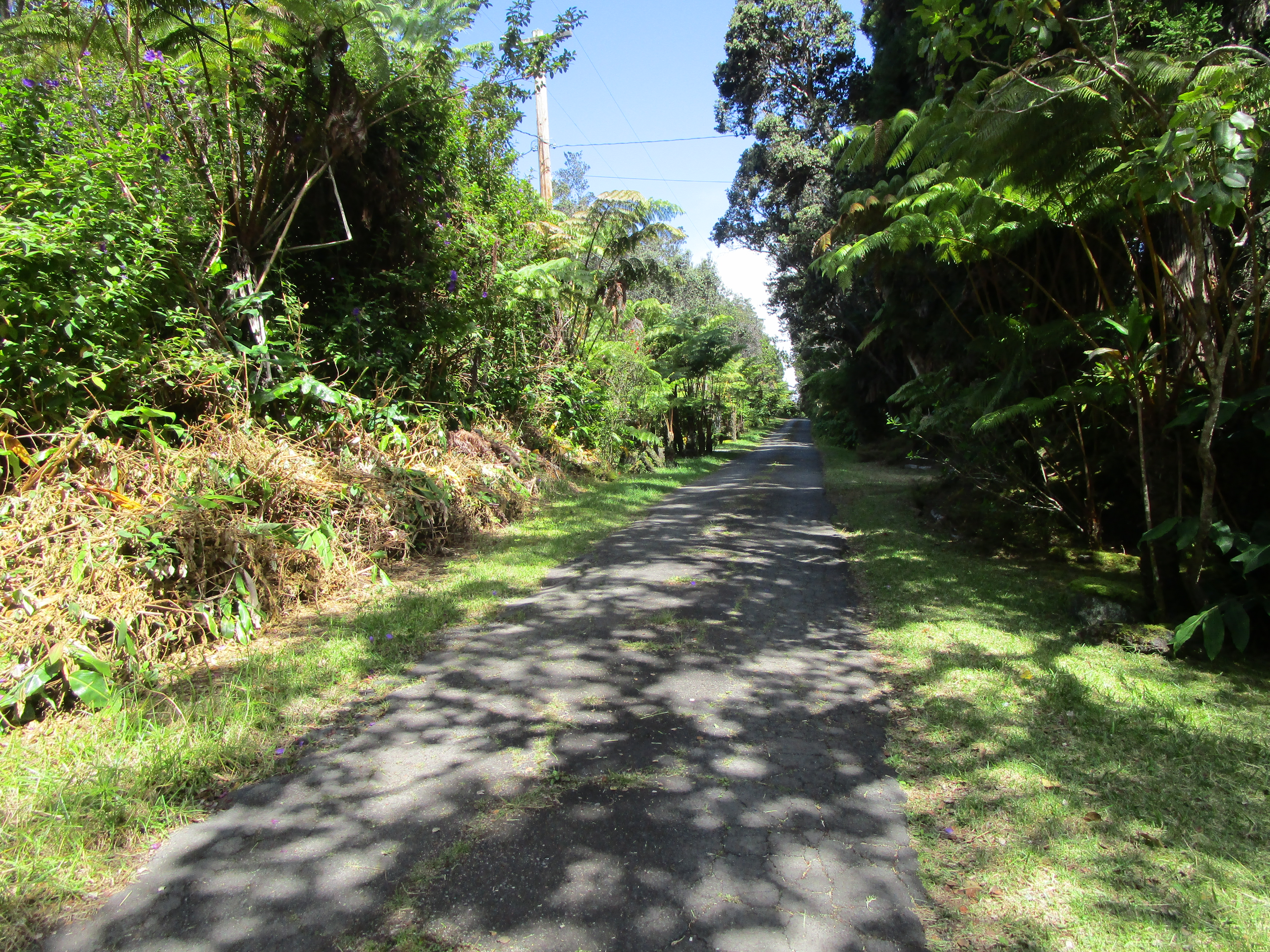 1 Alanui Iiwi Property Photo 20