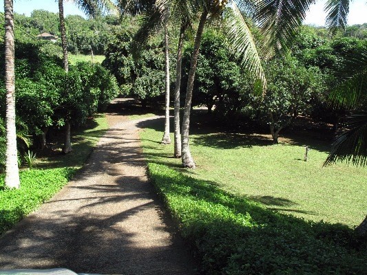 6820-b Koolau Rd Property Photo 1