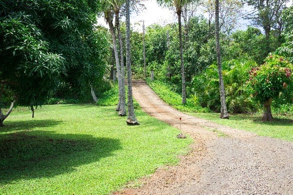 6820-b Koolau Rd Property Photo 2