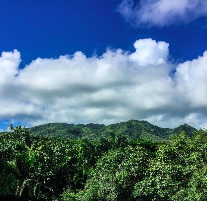 6820-b Koolau Rd Property Photo 3
