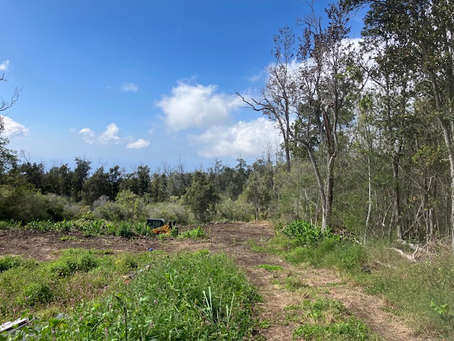 Catamaran Ln Property Photo 1