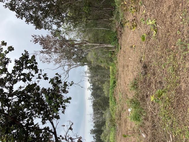 Catamaran Ln Property Photo 3