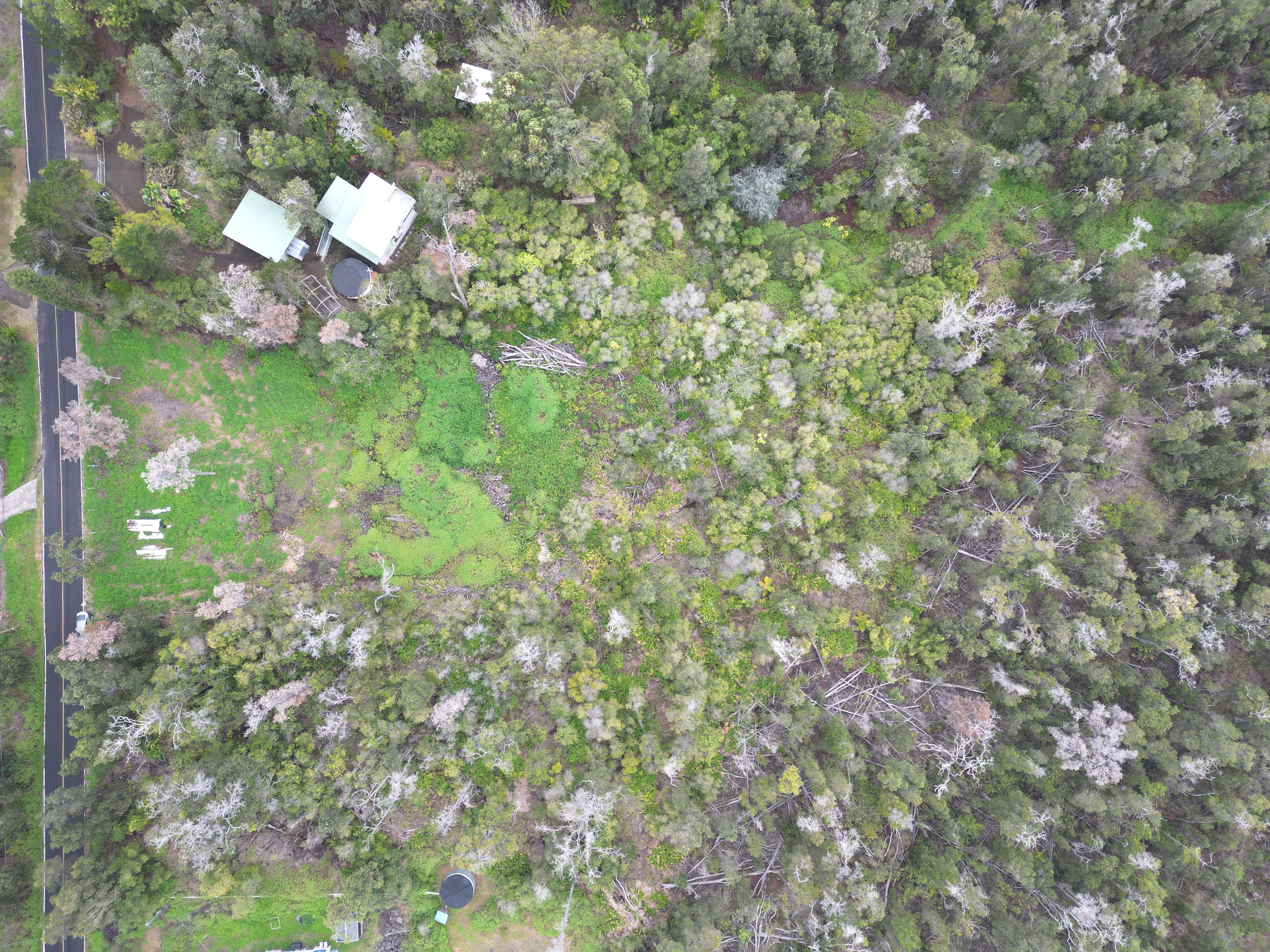Catamaran Ln Property Photo 5
