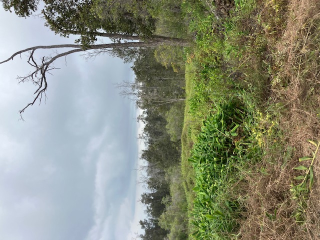 Catamaran Ln Property Photo 6