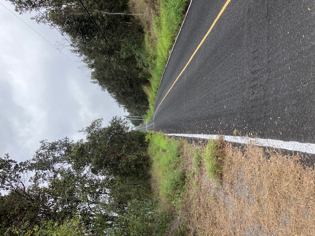Catamaran Ln Property Photo 9