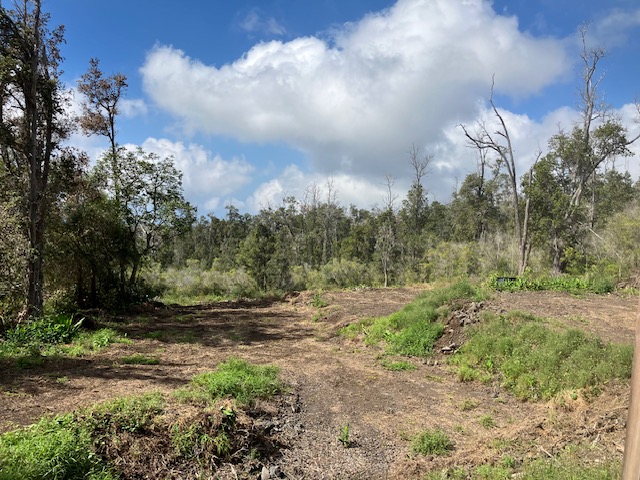 Catamaran Ln Property Photo 1