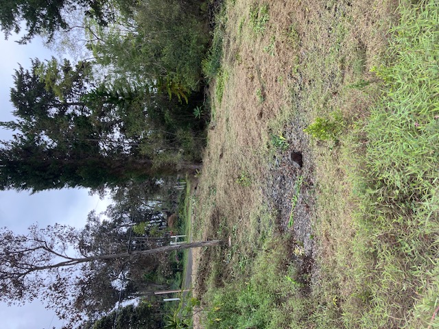 Catamaran Ln Property Photo 2