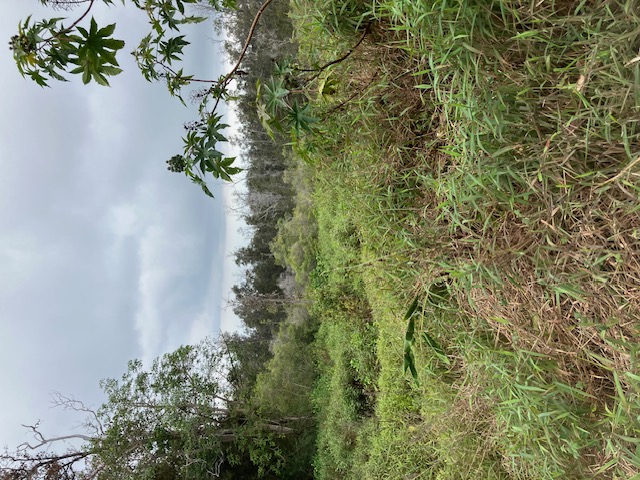 Catamaran Ln Property Photo 4