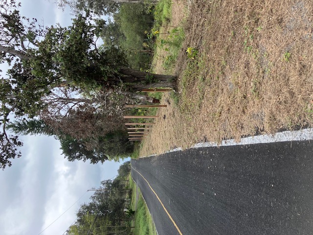 Catamaran Ln Property Photo 6