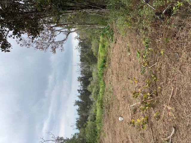Catamaran Ln Property Photo 8
