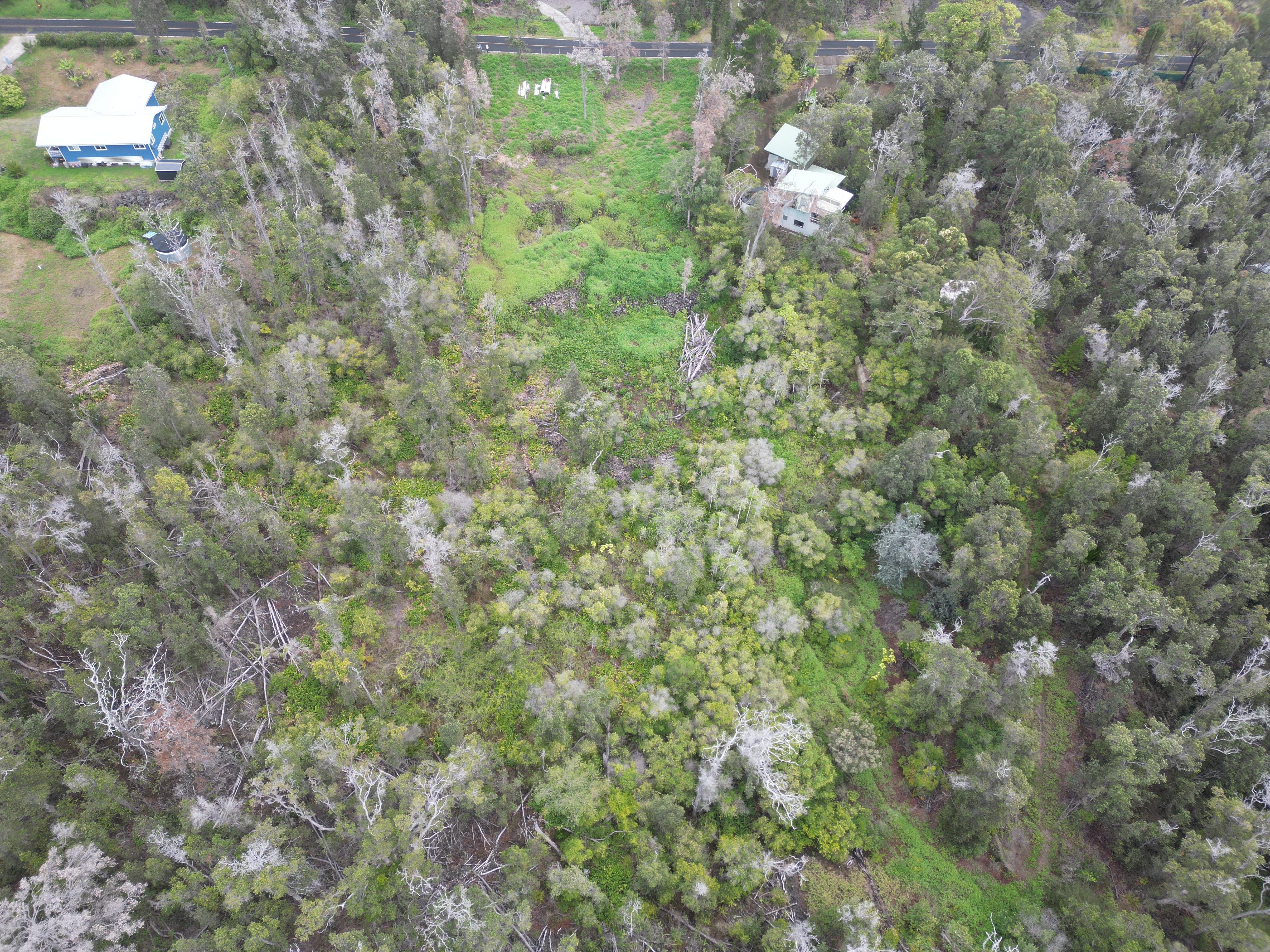Catamaran Ln Property Photo 9