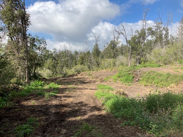 Catamaran Ln Property Photo 11