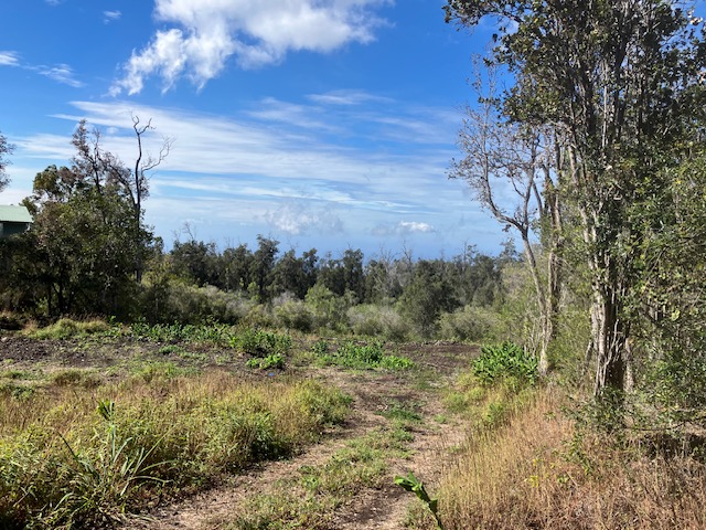 Catamaran Ln Property Photo 12