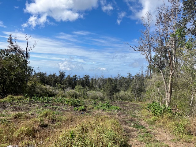 Catamaran Ln Property Photo 14