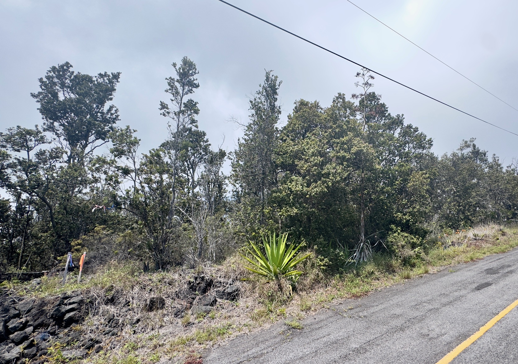 Koa Ln Property Photo 6