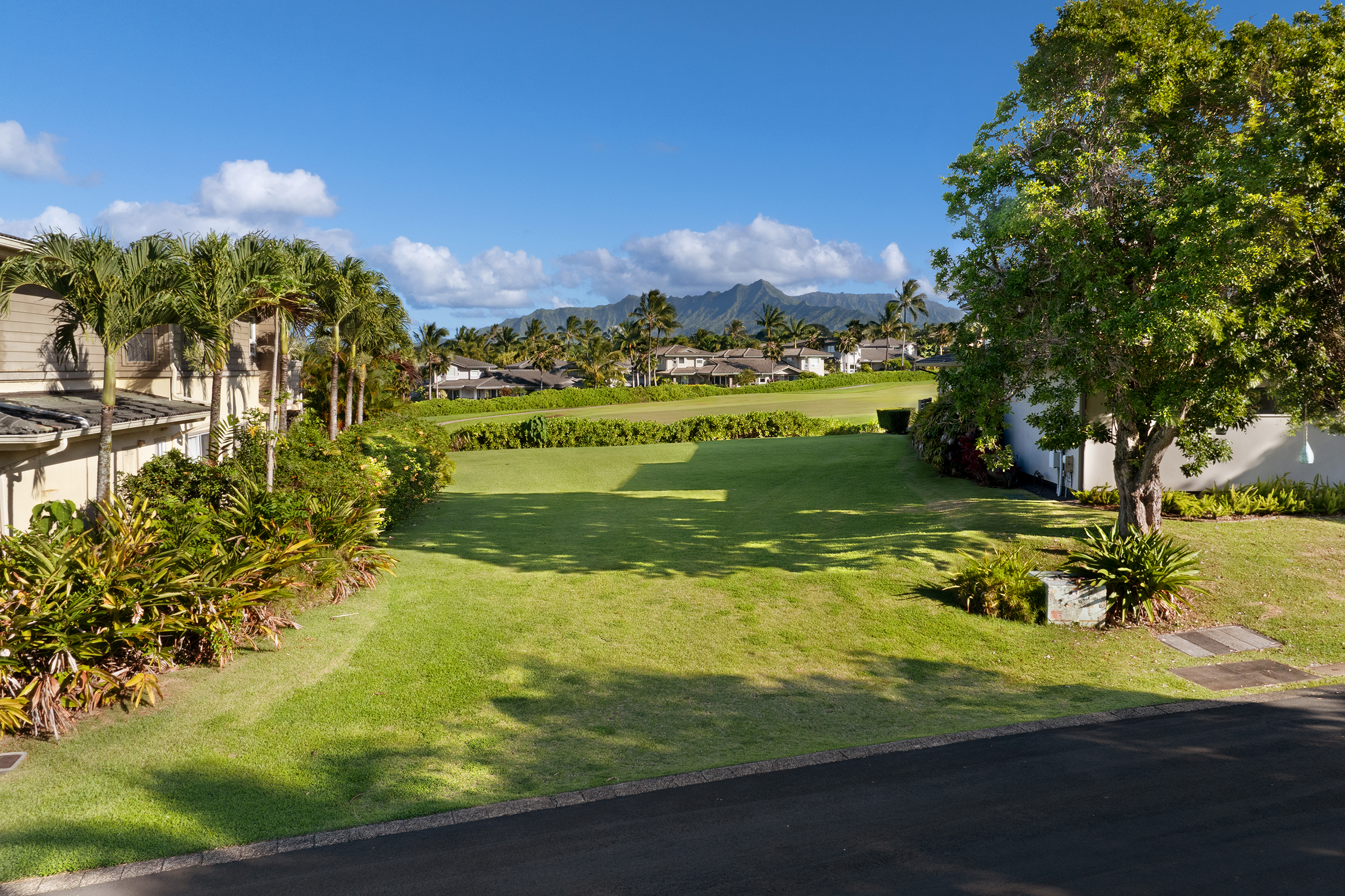 4005 Aloalii Dr Property Photo 5