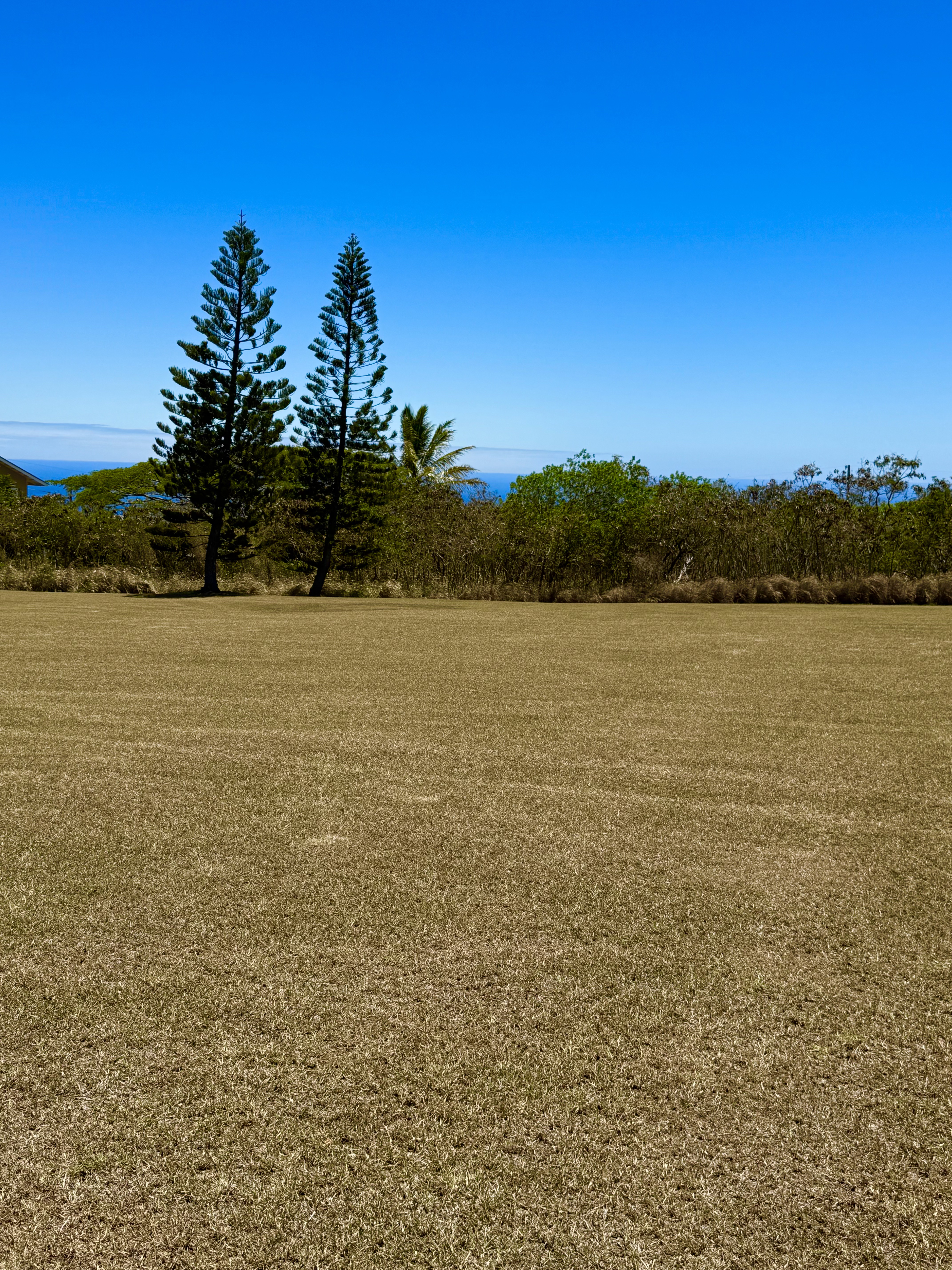 Kia Lua St Property Photo 6