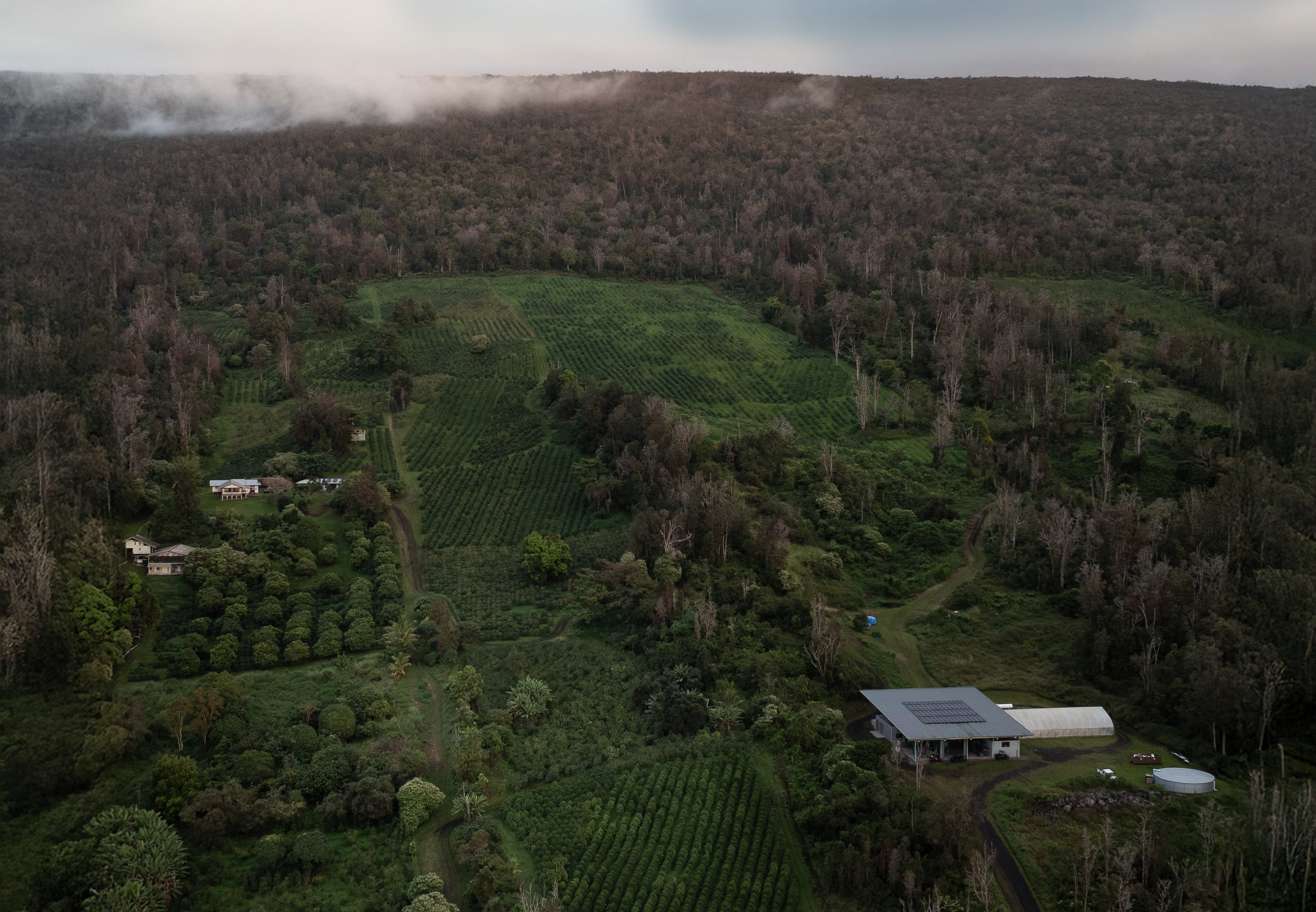 87-2854 Hawaii Belt Rd Property Photo 5