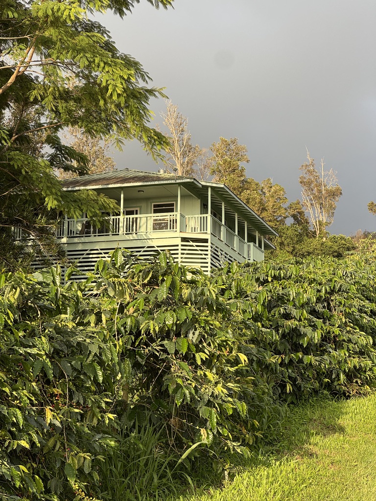87-2854 Hawaii Belt Rd Property Photo 13