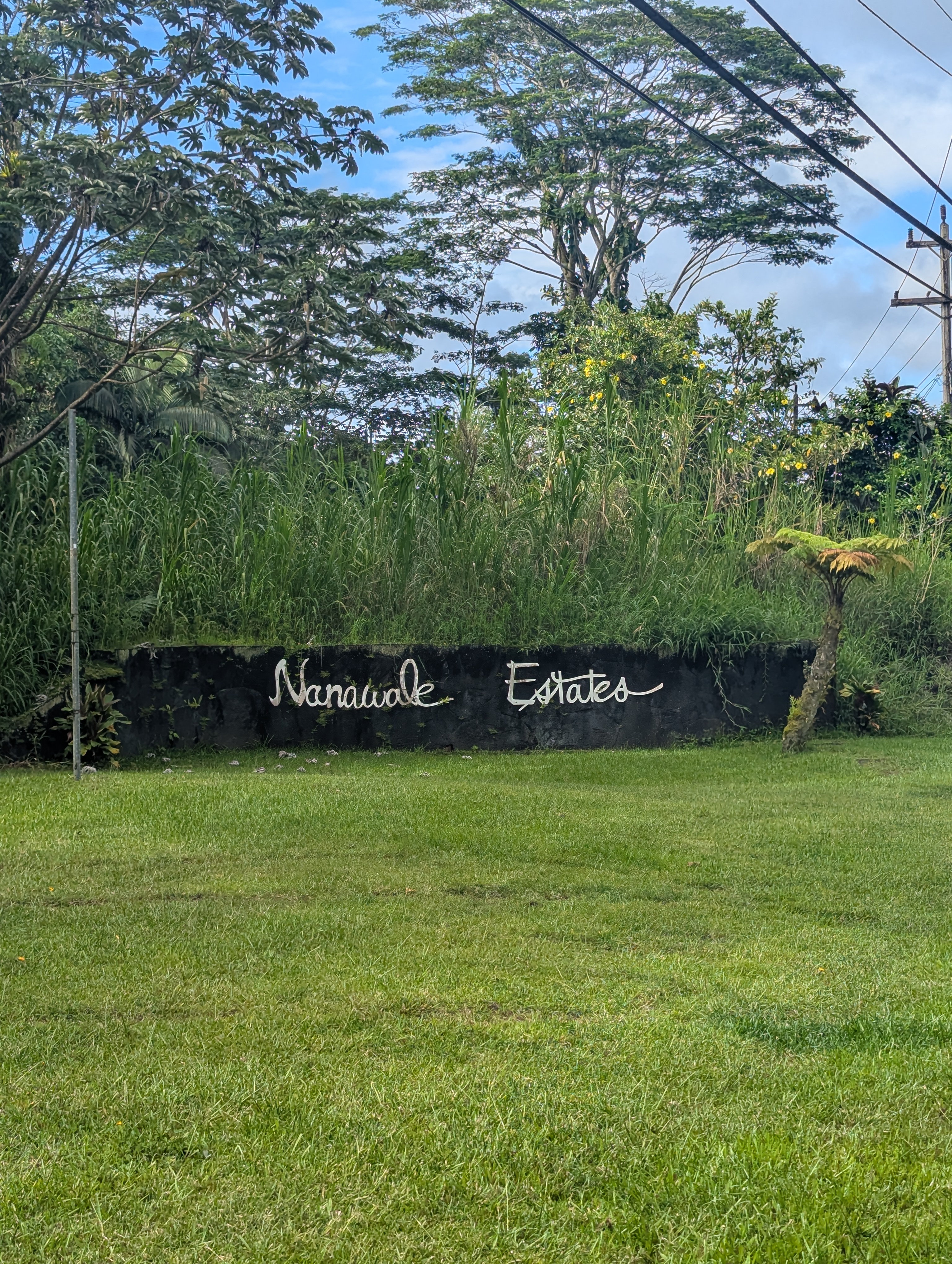 Waimea Rd Property Photo 1